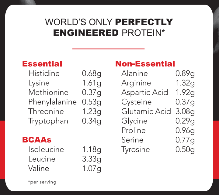 4oz PROTEIN SHOT - DUTCH CHOCOLATE