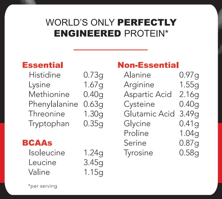 4oz PROTEIN SHOT - PEANUT BUTTER CHOCOLATE - REDUCED CARB